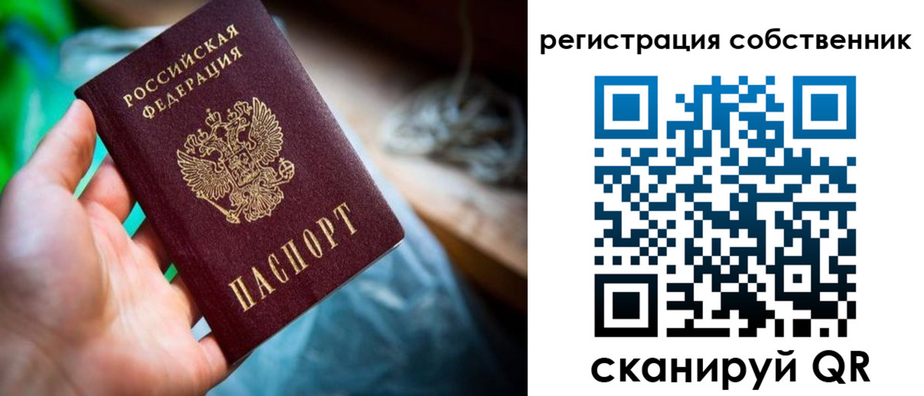 прописка гарантия в Сосенском